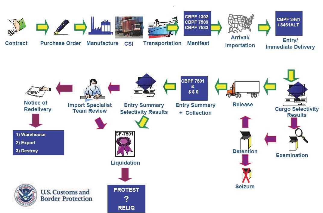 The Importation Process